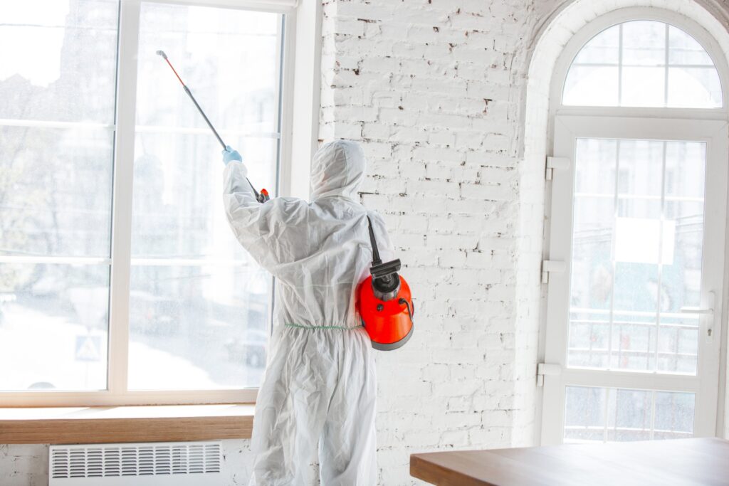 Coronavirus Pandemic. A Disinfector In A Protective Suit And Mask