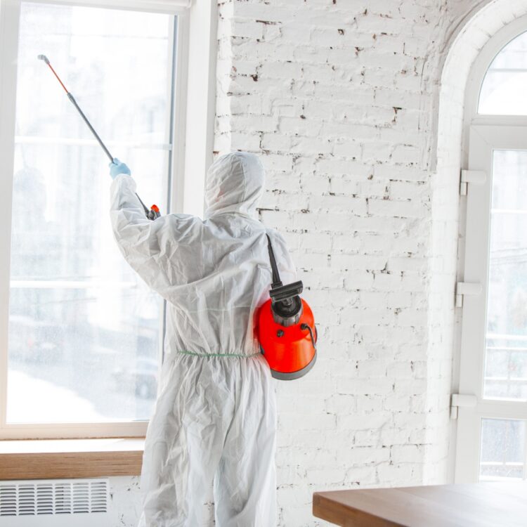 Coronavirus Pandemic. A Disinfector In A Protective Suit And Mask